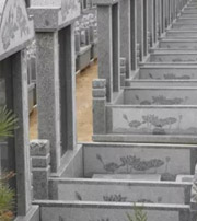 牡丹江祖坟墓地出现这种现象，大事不妙，千万要注意了！