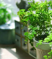 牡丹江专属于你的开运指南，助你鸿运当头福满身！